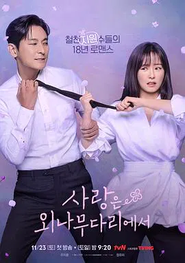 【韩国剧】爱在独木桥