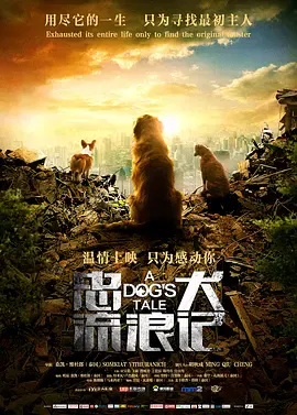 【剧情片】忠犬流浪记